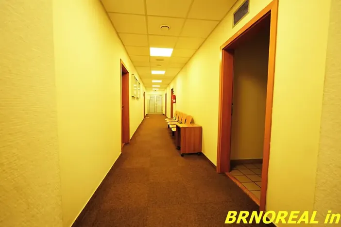 Pronájem kanceláře, Brno, Příkop, 20 m2