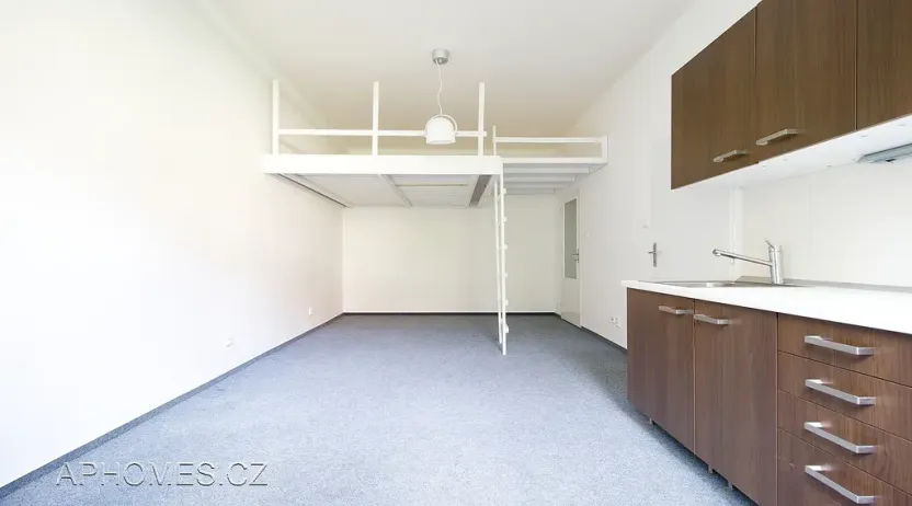 Pronájem bytu 1+kk, Praha - Nusle, U čtyř domů, 31 m2