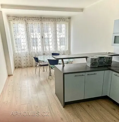Pronájem bytu 1+1, Praha - Karlín, Thámova, 46 m2