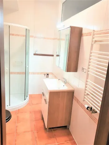 Pronájem bytu 1+kk, České Budějovice, Tylova, 34 m2
