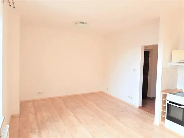 Pronájem bytu 1+kk, České Budějovice, Tylova, 34 m2