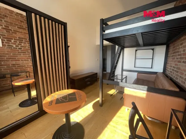 Pronájem bytu 1+1, Praha - Vinohrady, Šafaříkova, 31 m2