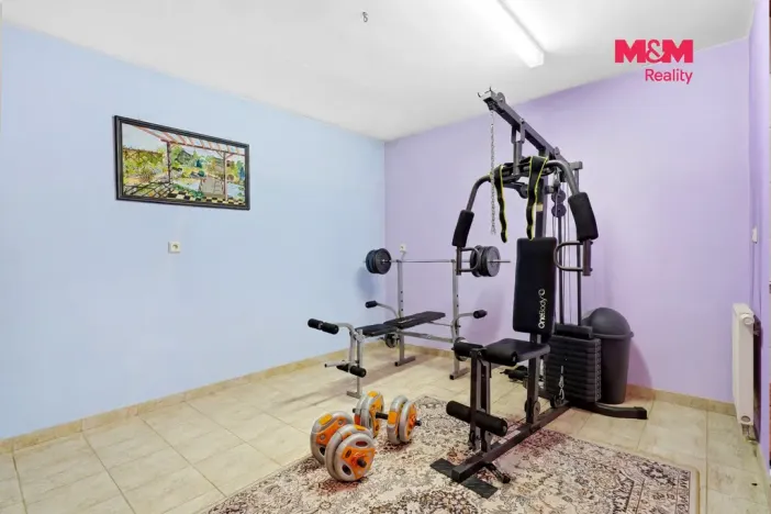 Prodej rodinného domu, Vinařice, Pod Horkou, 281 m2