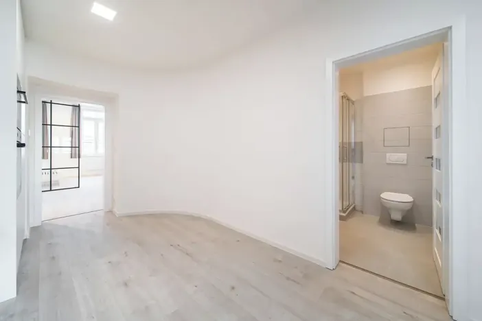 Prodej bytu 1+1, Brno, Cejl, 50 m2