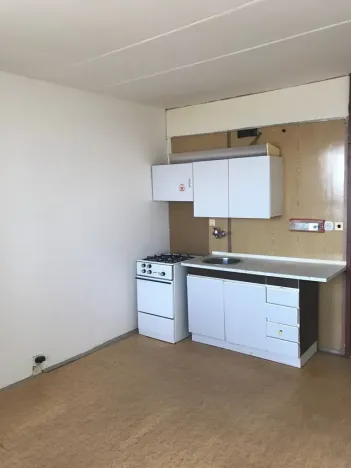 Prodej bytu 1+1, Chomutov, Pod Břízami, 36 m2