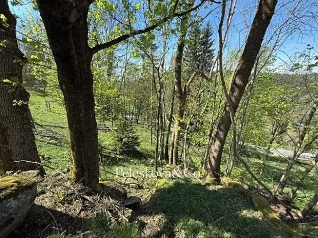Prodej pozemku pro bydlení, Kořenov, 12296 m2