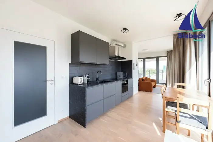 Pronájem bytu 1+kk, Praha - Karlín, Breitfeldova, 63 m2