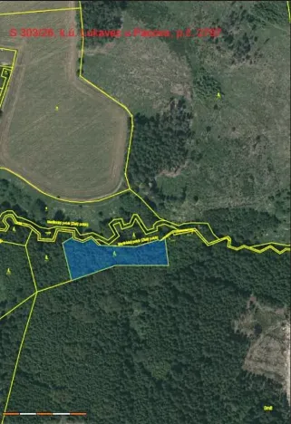 Prodej lesa, Lukavec, 3852 m2
