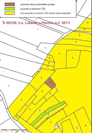 Prodej lesa, Lukavec, 978 m2