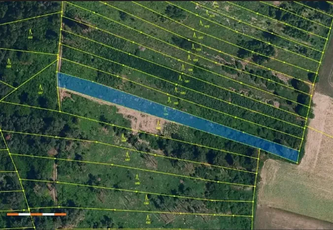 Prodej lesa, Mladoňovice, 2261 m2