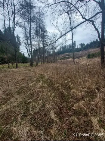 Prodej lesa, Dolní Hořice, 4440 m2