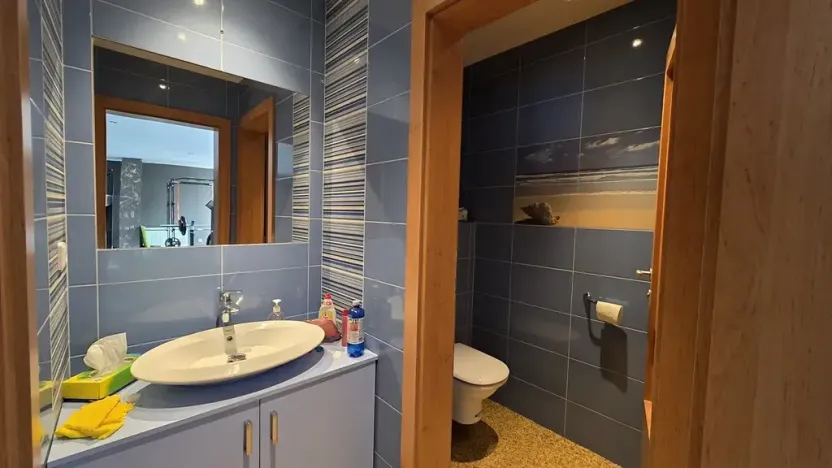 Prodej vícegeneračního domu, Náchod, Komenského, 1000 m2