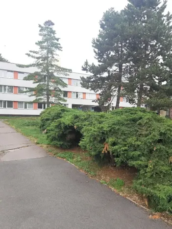 Prodej bytu 2+1, Praha - Kobylisy, Burešova, 62 m2