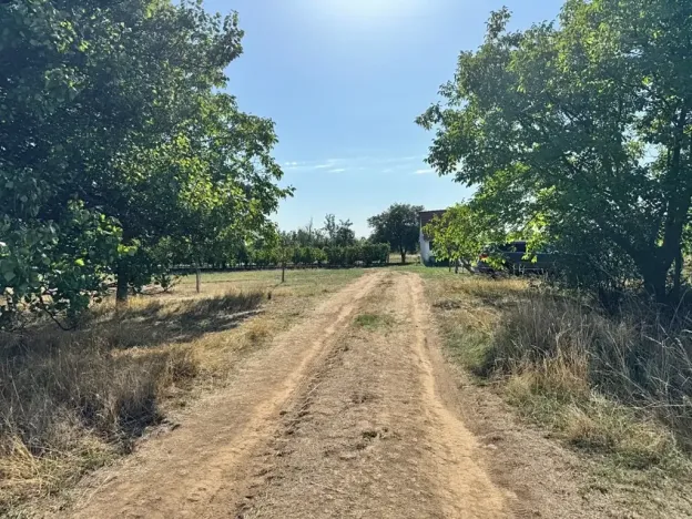 Prodej sadu/vinice, Svatobořice-Mistřín, 3478 m2