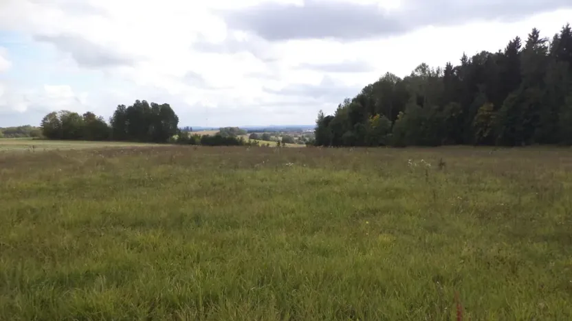 Prodej pole, Tachov, 5912 m2