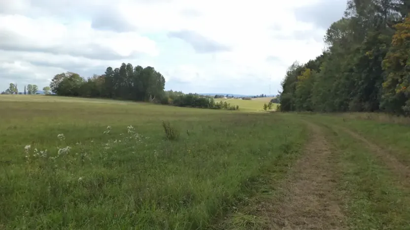 Prodej pole, Tachov, 5912 m2