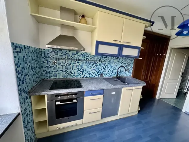 Pronájem bytu 2+kk, České Budějovice, Riegrova, 55 m2