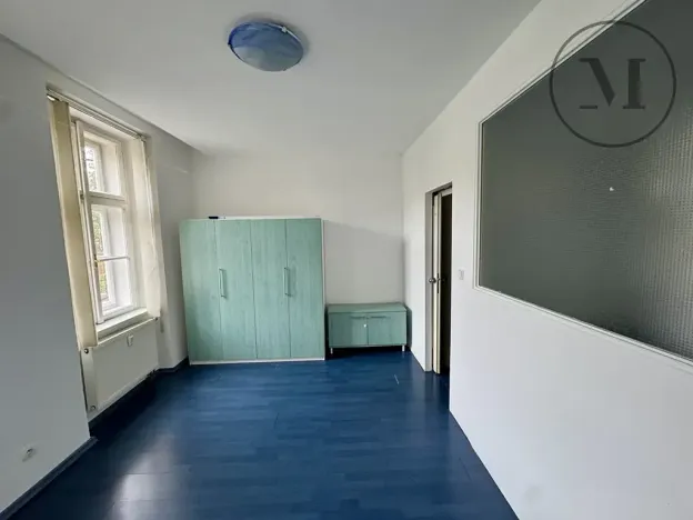Pronájem bytu 2+kk, České Budějovice, Riegrova, 55 m2