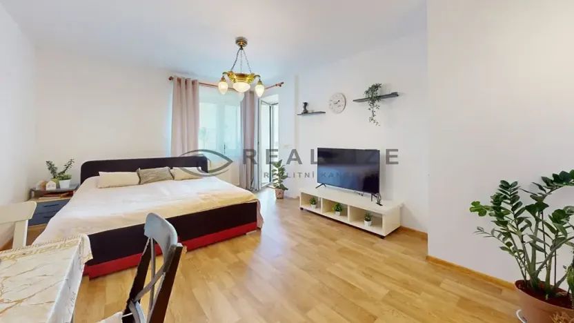 Prodej bytu 2+1, České Budějovice, Holečkova, 52 m2