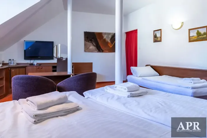 Prodej ubytování, Luhačovice, Masarykova, 420 m2