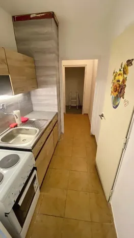 Pronájem bytu 1+kk, Brno, Herčíkova, 29 m2