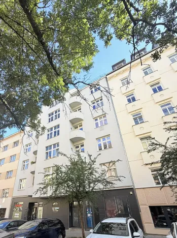 Prodej bytu 2+1, Brno, Gorkého, 76 m2