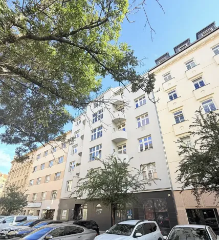 Prodej bytu 2+1, Brno, Gorkého, 76 m2