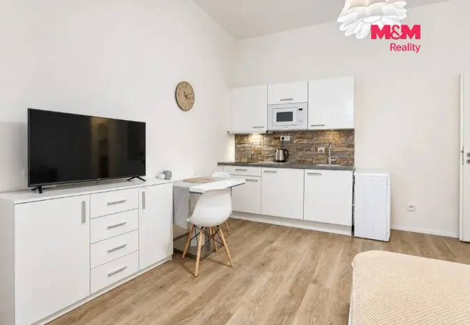 Pronájem bytu 1+kk, Praha - Nové Město, Petrská, 30 m2