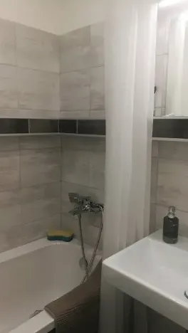 Pronájem bytu 2+1, Brno, Merhautova, 60 m2