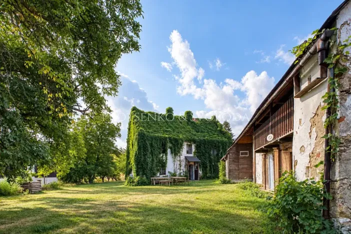 Prodej činžovního domu, Lhenice, Krumlovská, 535 m2