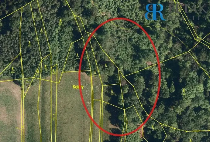 Prodej pole, Hranice - Hranice IX-Uhřínov, 30000 m2
