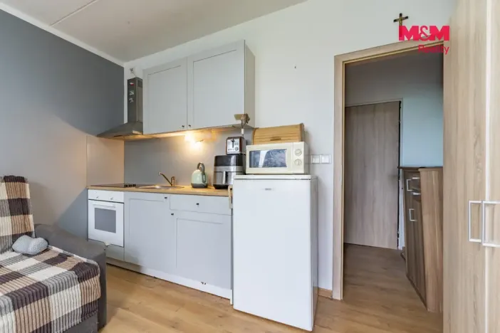 Pronájem bytu 1+kk, Mariánské Lázně - Úšovice, Česká, 20 m2