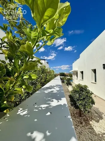 Prodej rodinného domu, Benijofar, Alicante, Španělsko, 120 m2