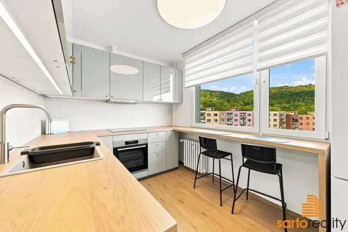 Prodej bytu 1+1, Ústí nad Labem, Jizerská, 42 m2