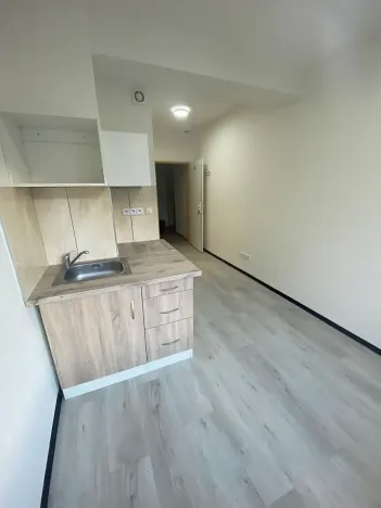 Pronájem bytu 1+kk, Praha - Hlubočepy, Na Zlíchově, 18 m2