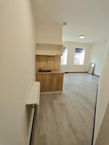 Pronájem bytu 1+kk, Praha - Hlubočepy, Na Zlíchově, 18 m2