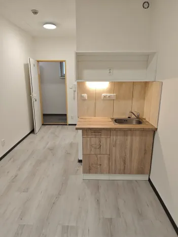 Pronájem bytu 1+kk, Praha - Hlubočepy, Na Zlíchově, 18 m2