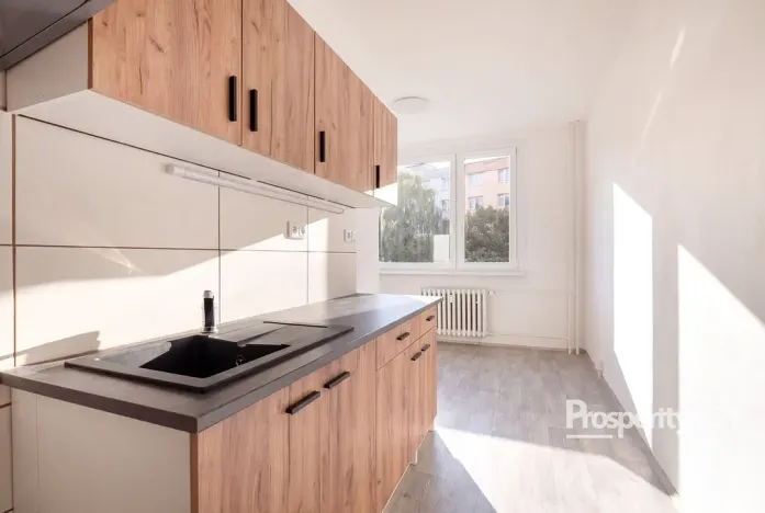 Prodej bytu 2+1, Ústí nad Labem - Střekov, Nová, 62 m2