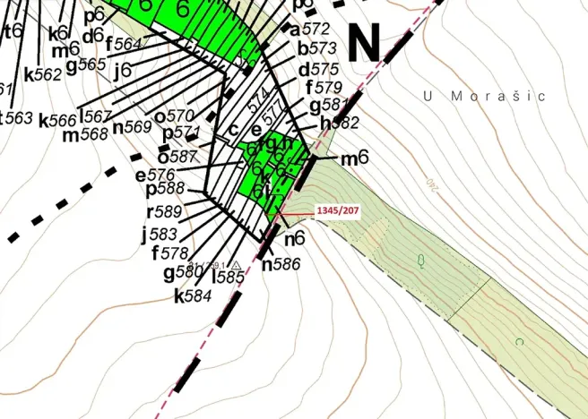 Dražba lesa, Morašice, 1049 m2