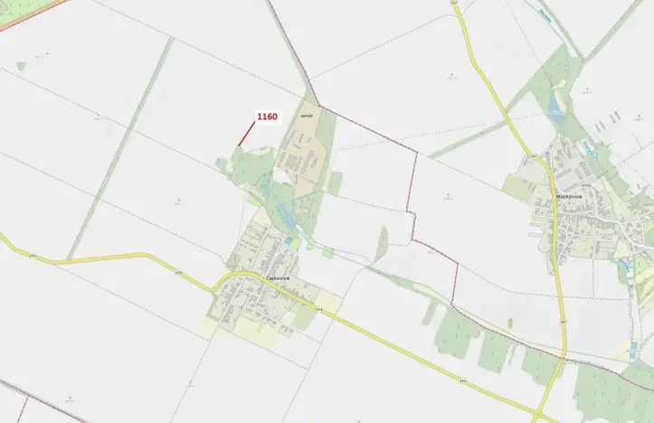 Dražba lesa, Čejkovice, 126 m2