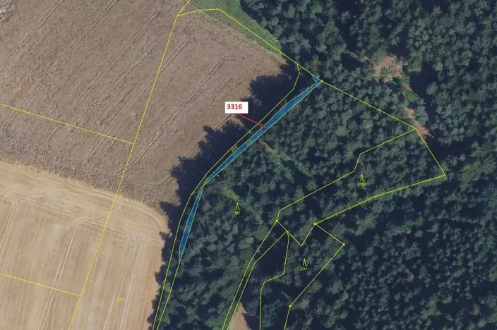 Dražba lesa, Bělá nad Svitavou, 327 m2