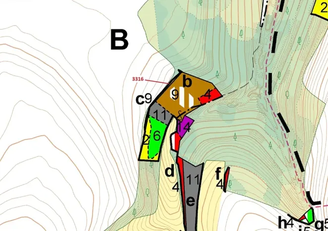 Dražba lesa, Bělá nad Svitavou, 327 m2