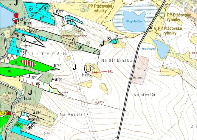 Dražba lesa, Třebíč, 2183 m2