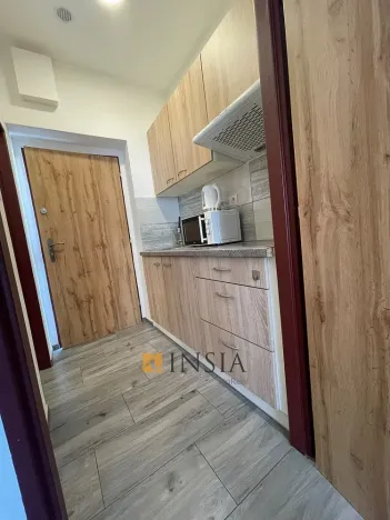 Prodej bytu 1+kk, Český Krumlov - Nové Spolí, 20 m2