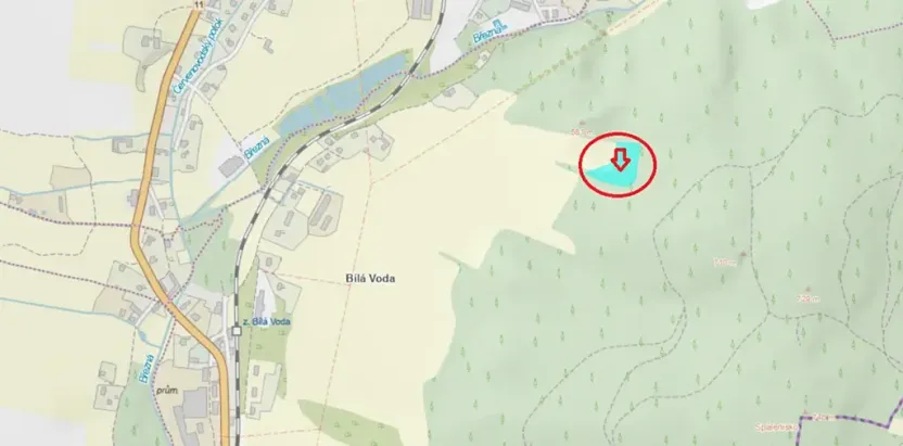 Prodej podílu lesa, Červená Voda, 5759 m2