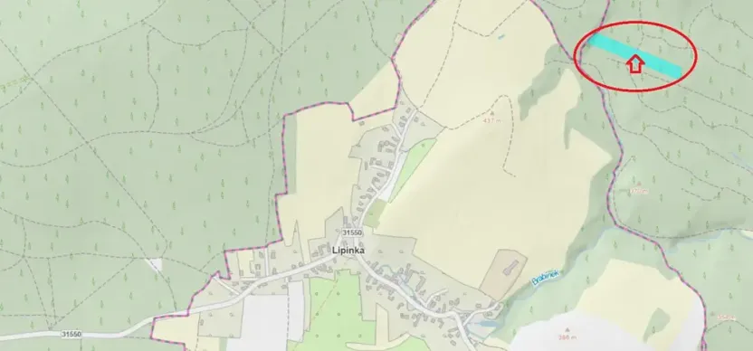 Prodej podílu lesa, Nová Hradečná, 6798 m2