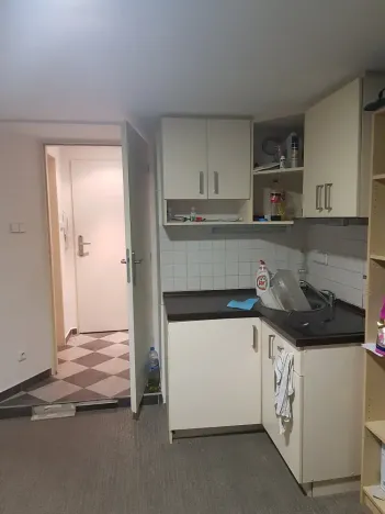 Pronájem bytu 1+kk, Praha - Podolí, Na Podkovce, 20 m2