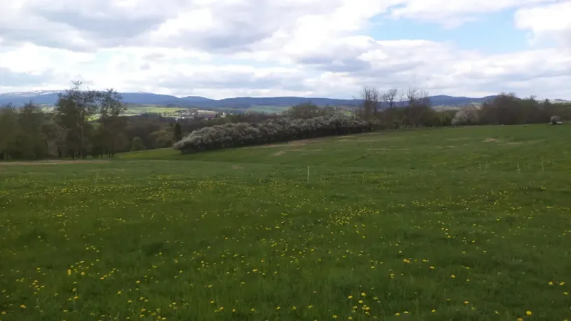 Prodej pozemku, Staré Město - Nová Véska, 10063 m2