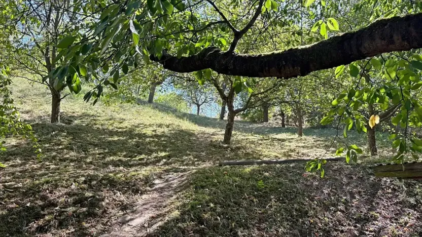 Prodej chaty, Jaroměřice, 64 m2