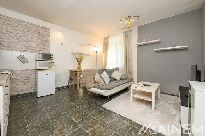 Pronájem bytu 2+kk, Plzeň, Francouzská třída, 39 m2